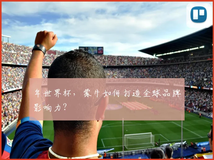 年世界杯,蒙牛如何打造全球品牌影响力?