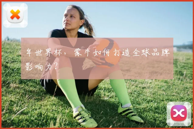 年世界杯,蒙牛如何打造全球品牌影响力?